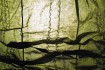 Detailbild 2 von Soreide
